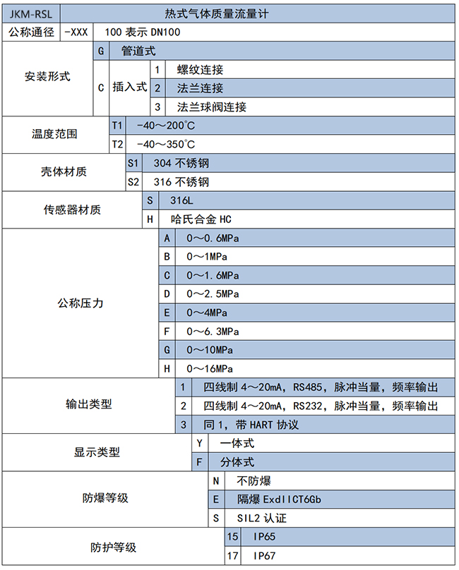 DN20熱式氣體質(zhì)量流量計(jì)選項(xiàng)表